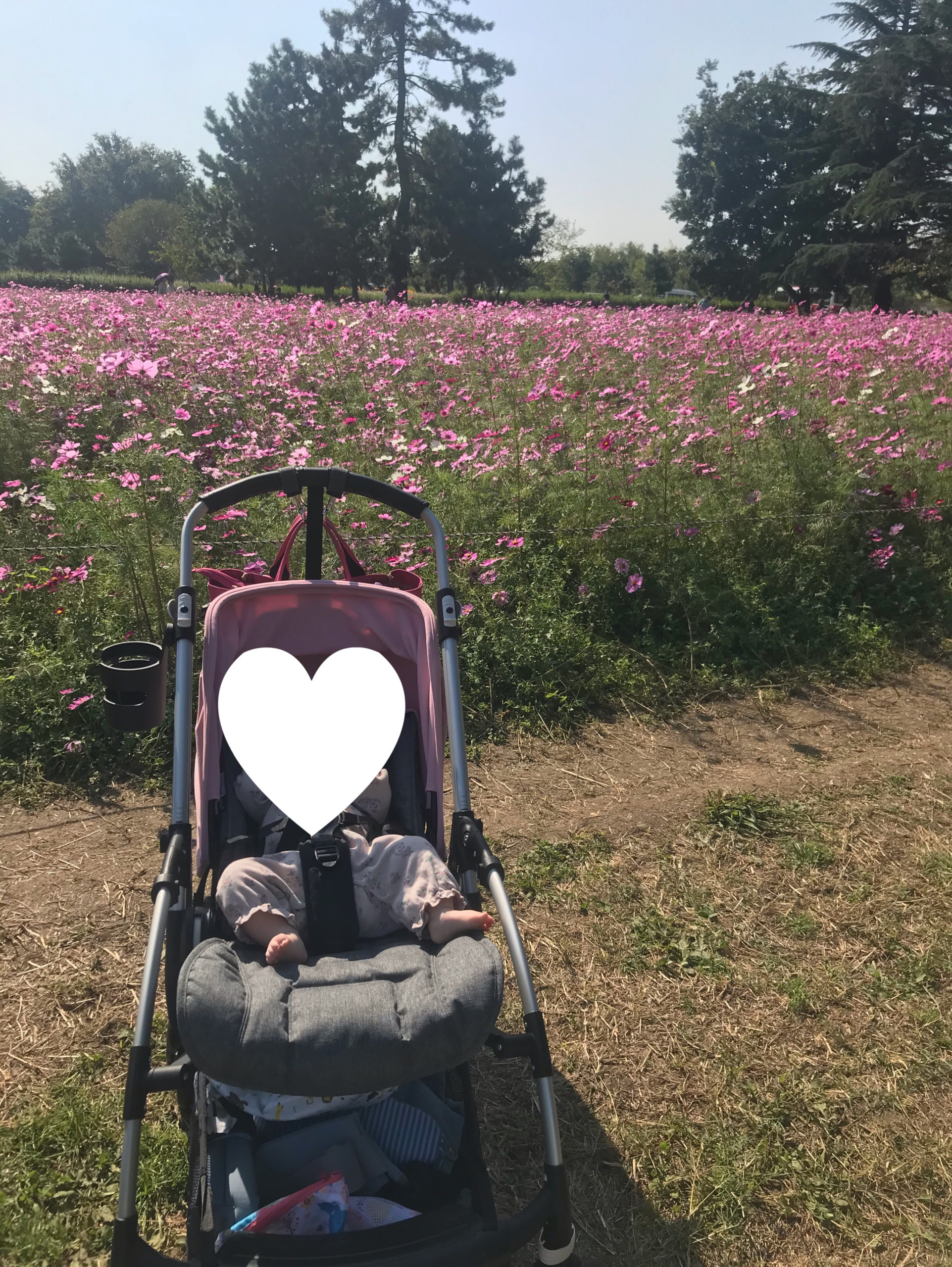 バガブービー5 メリット デメリット 口コミ Ninamamaブログ